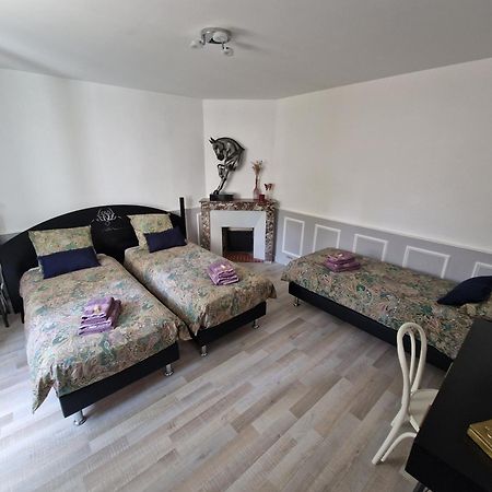 Bleautiful "Alienor" Charmant Appartement Avec Terrasse Fontainebleau Zewnętrze zdjęcie